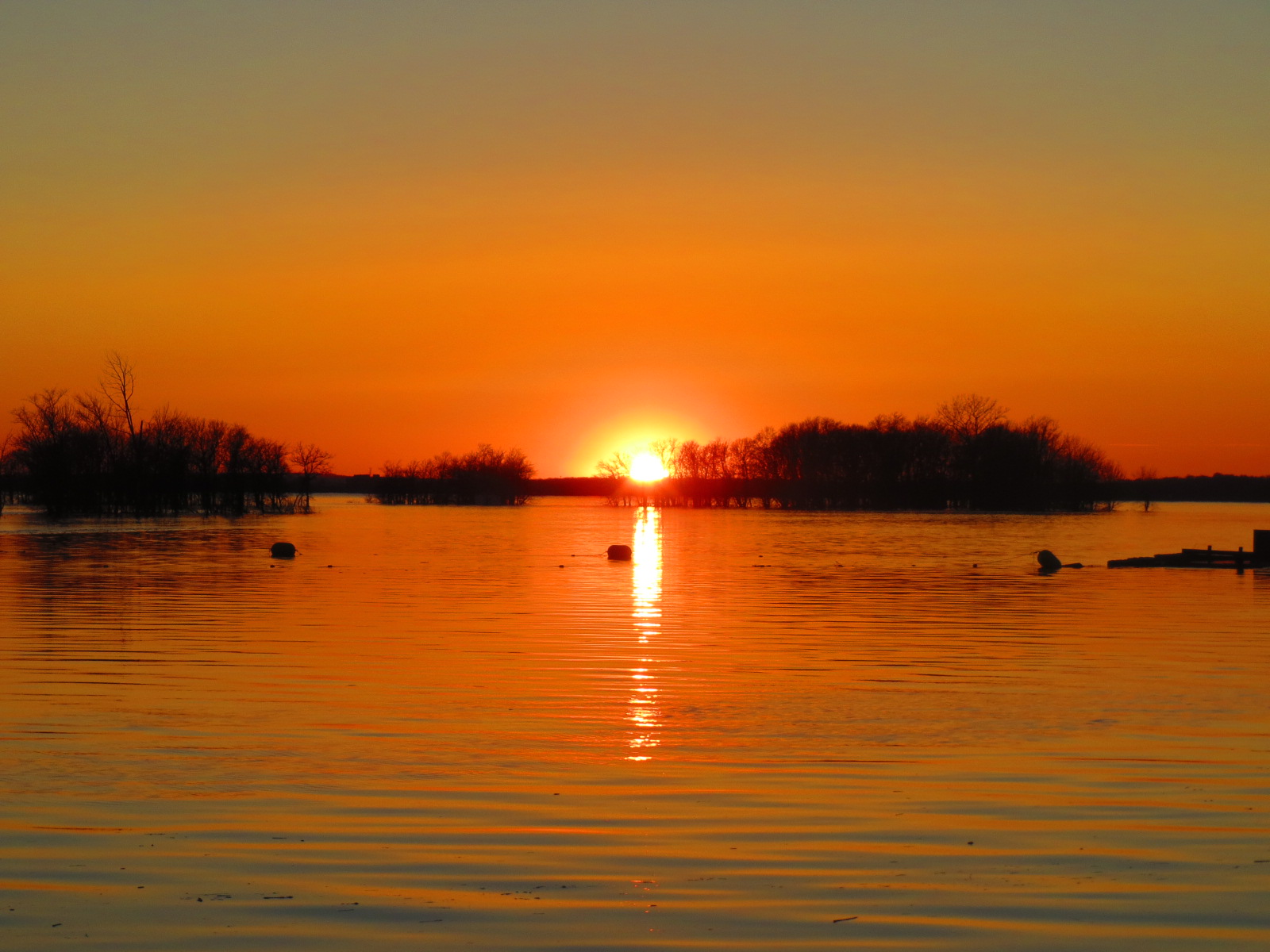 " 温馨的夕阳"